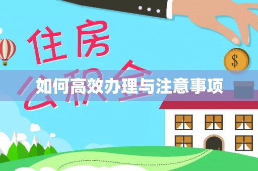麻涌如何高效办理与注意事项