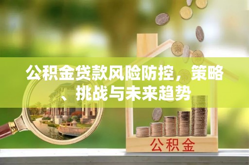麻涌公积金贷款风险防控，策略、挑战与未来趋势