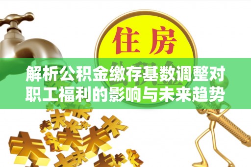 麻涌解析公积金缴存基数调整对职工福利的影响与未来趋势