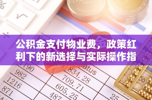 麻涌公积金支付物业费，政策红利下的新选择与实际操作指南
