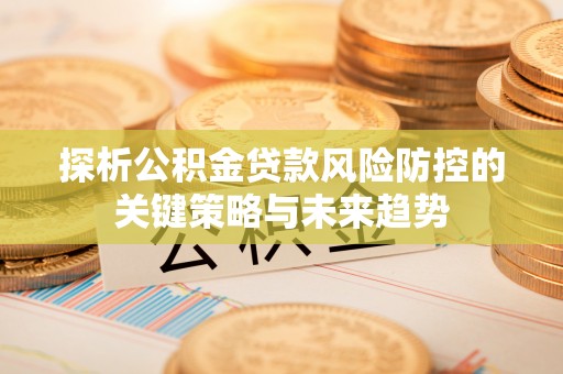 麻涌探析公积金贷款风险防控的关键策略与未来趋势