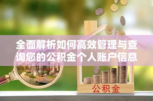 麻涌全面解析如何高效管理与查询您的公积金个人账户信息