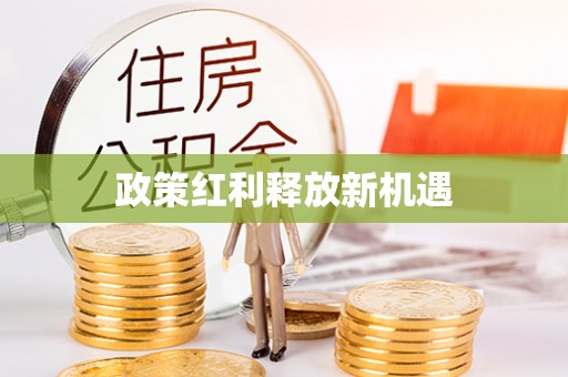 麻涌政策红利释放新机遇