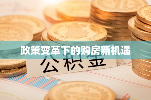 麻涌政策变革下的购房新机遇