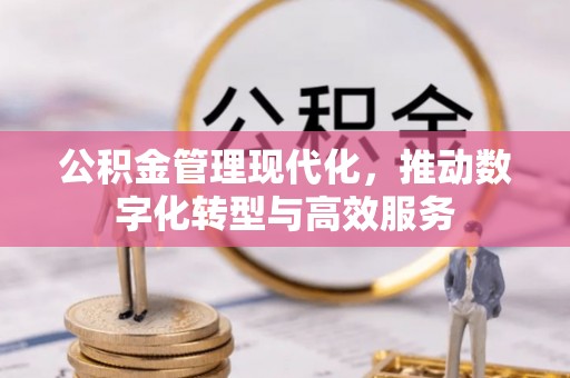 麻涌公积金管理现代化，推动数字化转型与高效服务