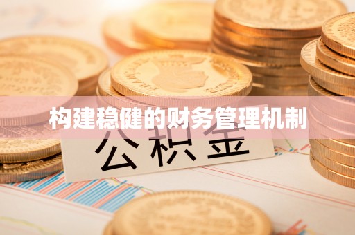 麻涌构建稳健的财务管理机制