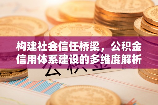麻涌构建社会信任桥梁，公积金信用体系建设的多维度解析