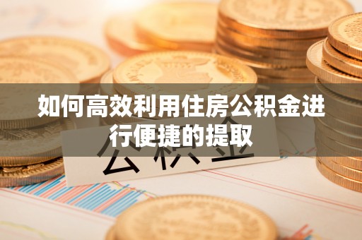 麻涌如何高效利用住房公积金进行便捷的提取