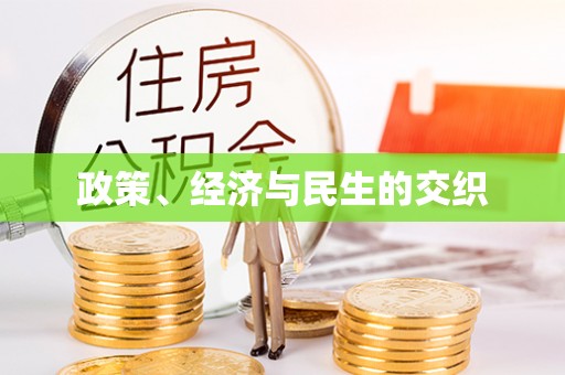 麻涌政策、经济与民生的交织