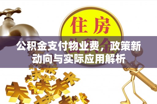 麻涌公积金支付物业费，政策新动向与实际应用解析